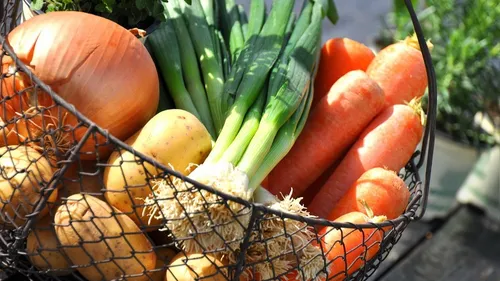 Comment prendre l’habitude de consommer local ? 